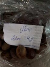 Picture of Nutmeg – جائفل