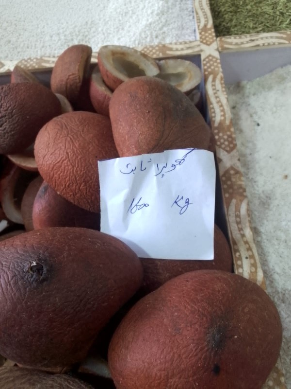 Picture of Dry coconut خشک کهوپره